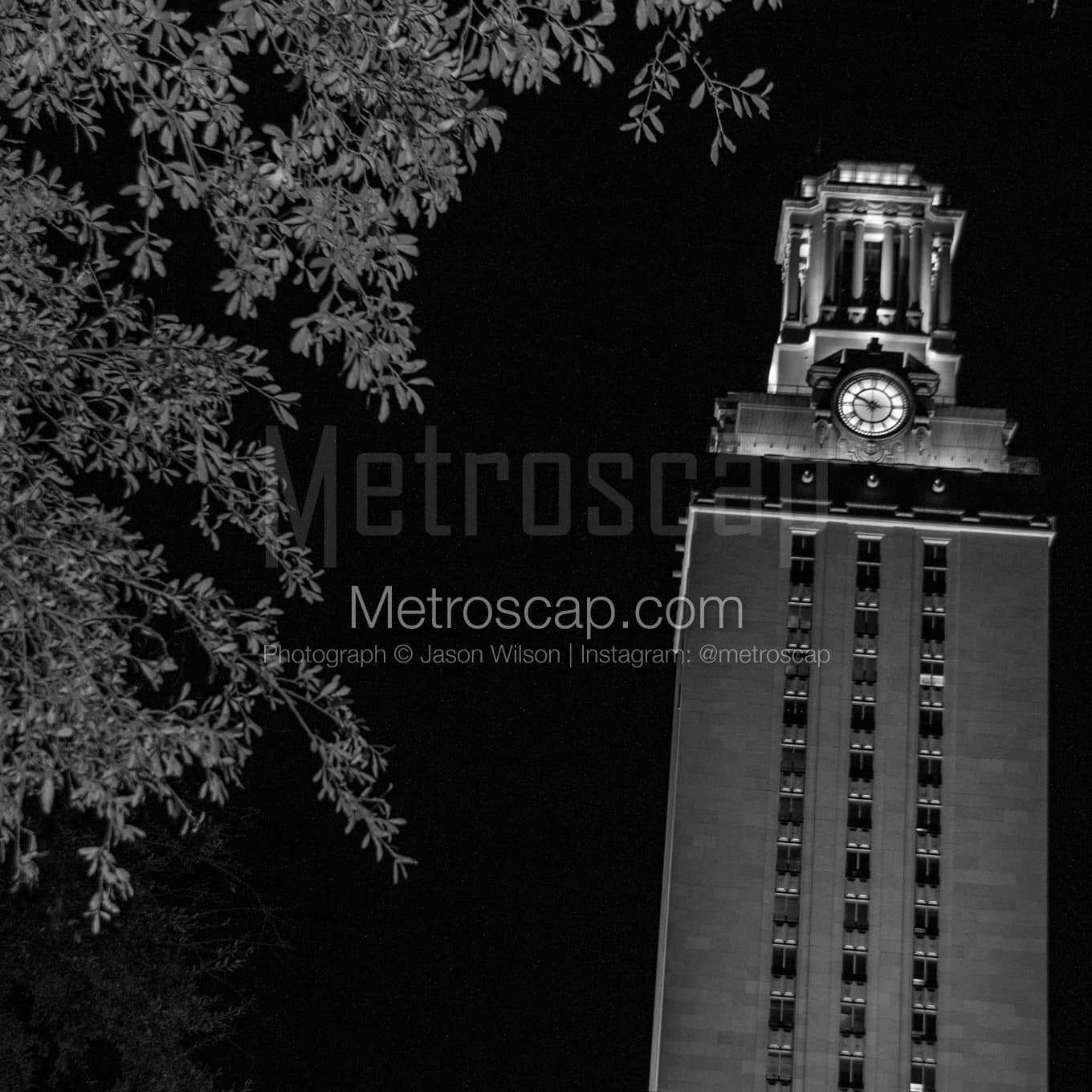 Austin Black & White Landscape Photography