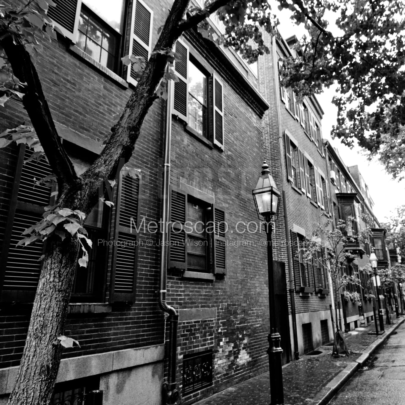 Boston Black & White Landscape Photography