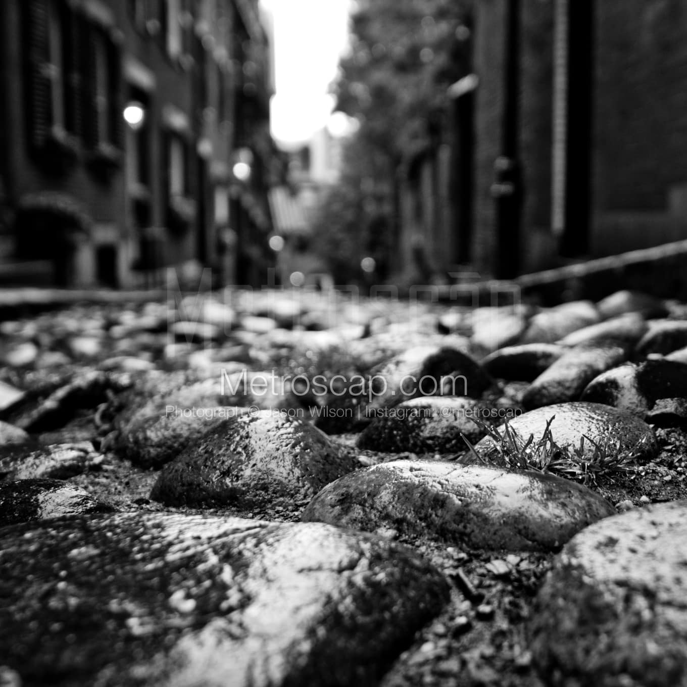 Boston Black & White Landscape Photography