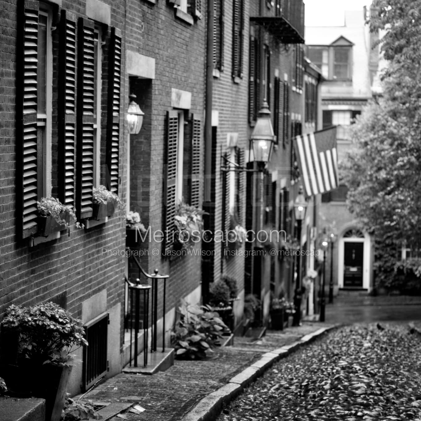 Boston Black & White Landscape Photography