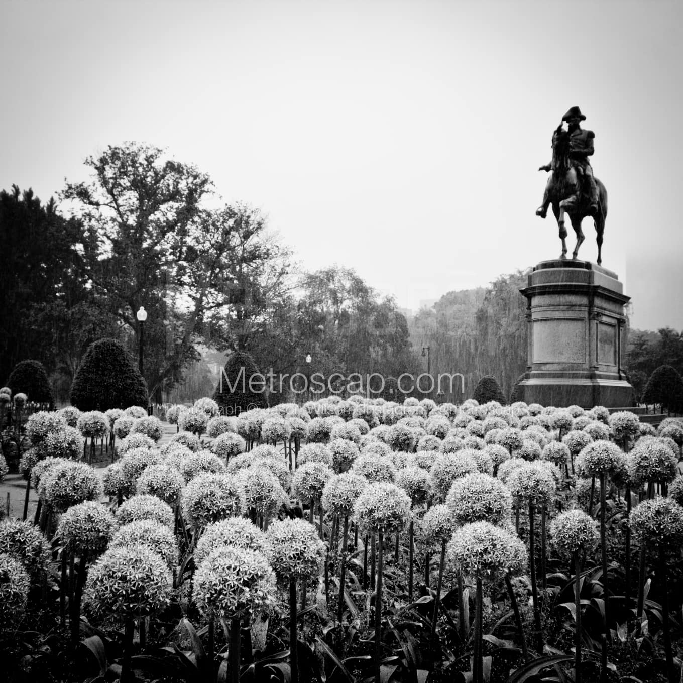 Boston Black & White Landscape Photography