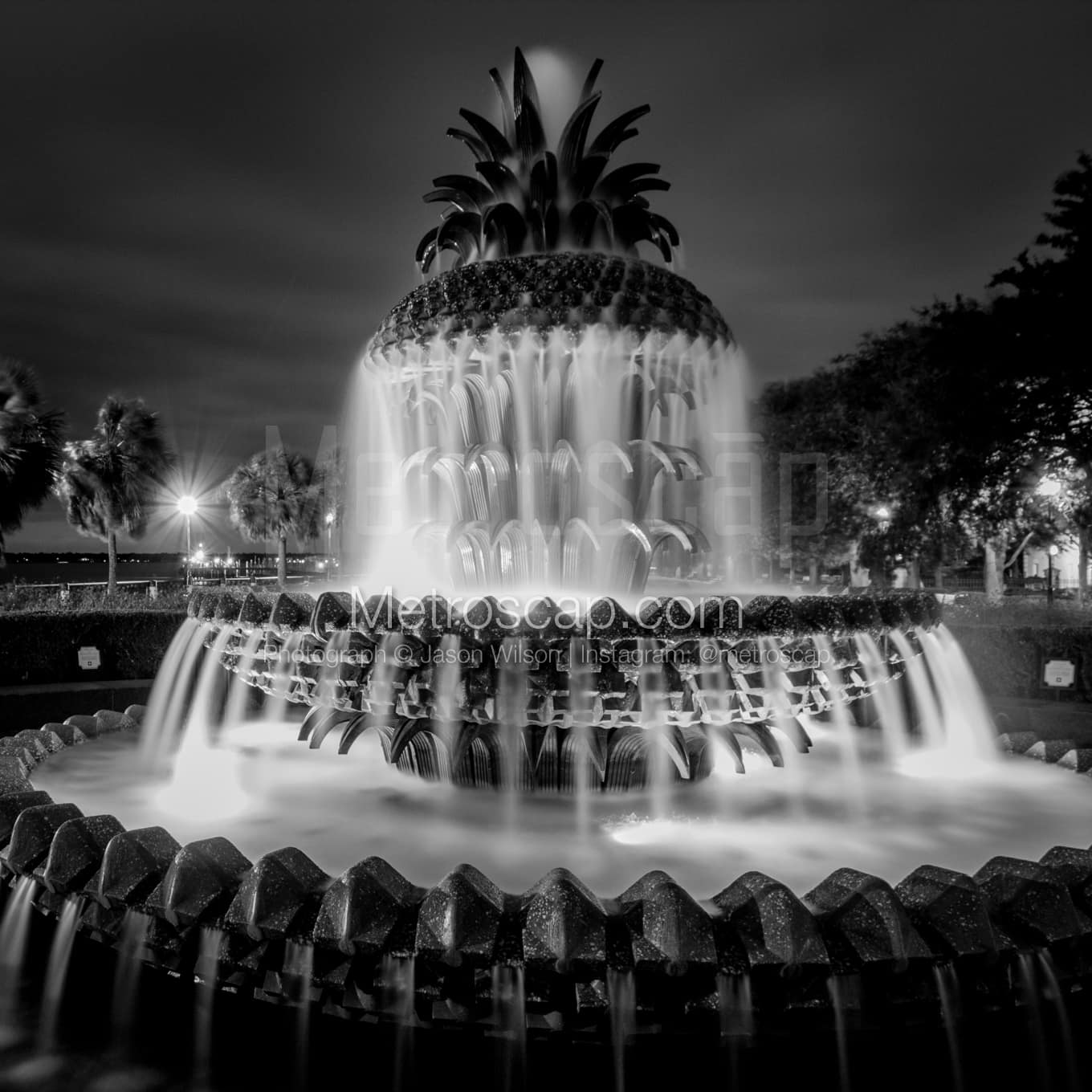 Charleston Black & White Landscape Photography