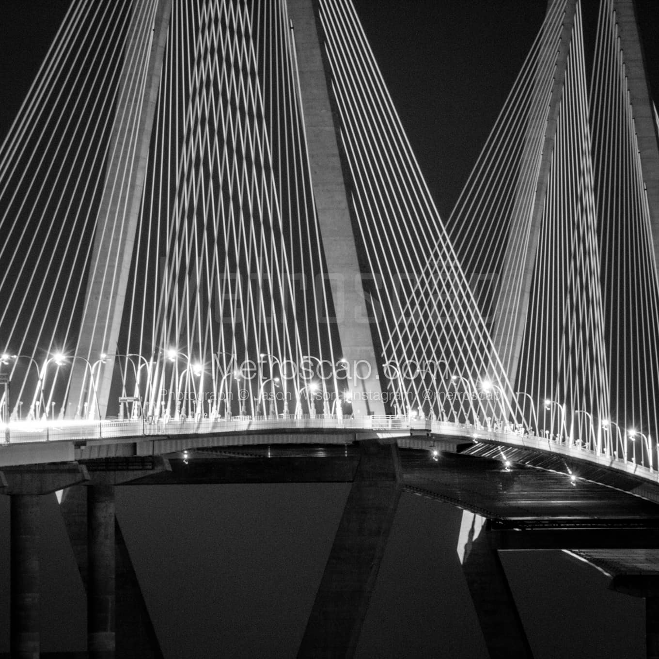 Charleston Black & White Landscape Photography