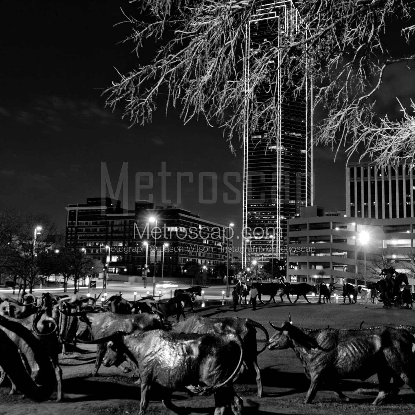 Dallas Black & White Landscape Photography