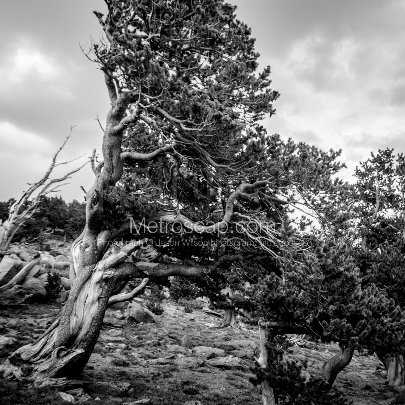 Denver Black & White Landscape Photography