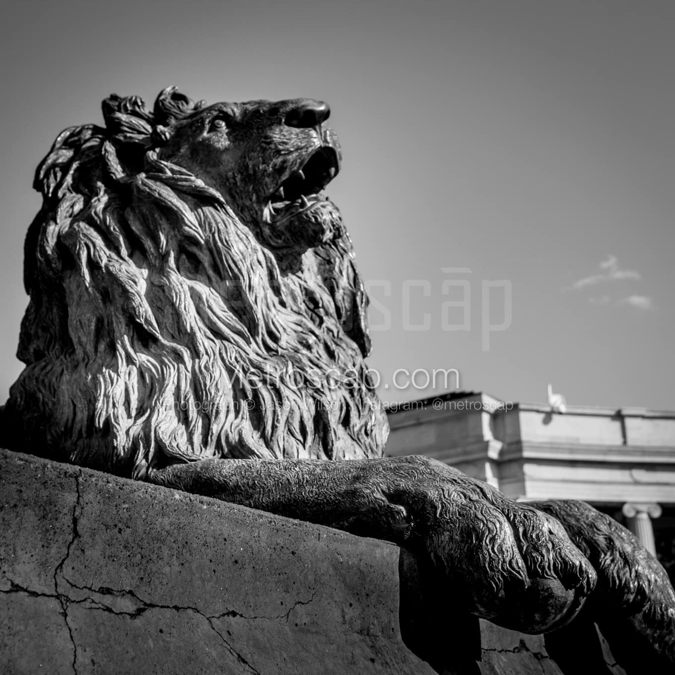 Denver Black & White Landscape Photography