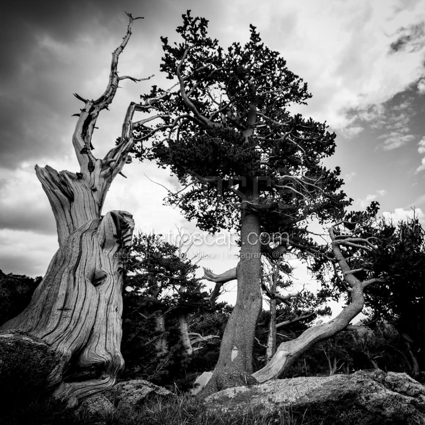 Denver Black & White Landscape Photography