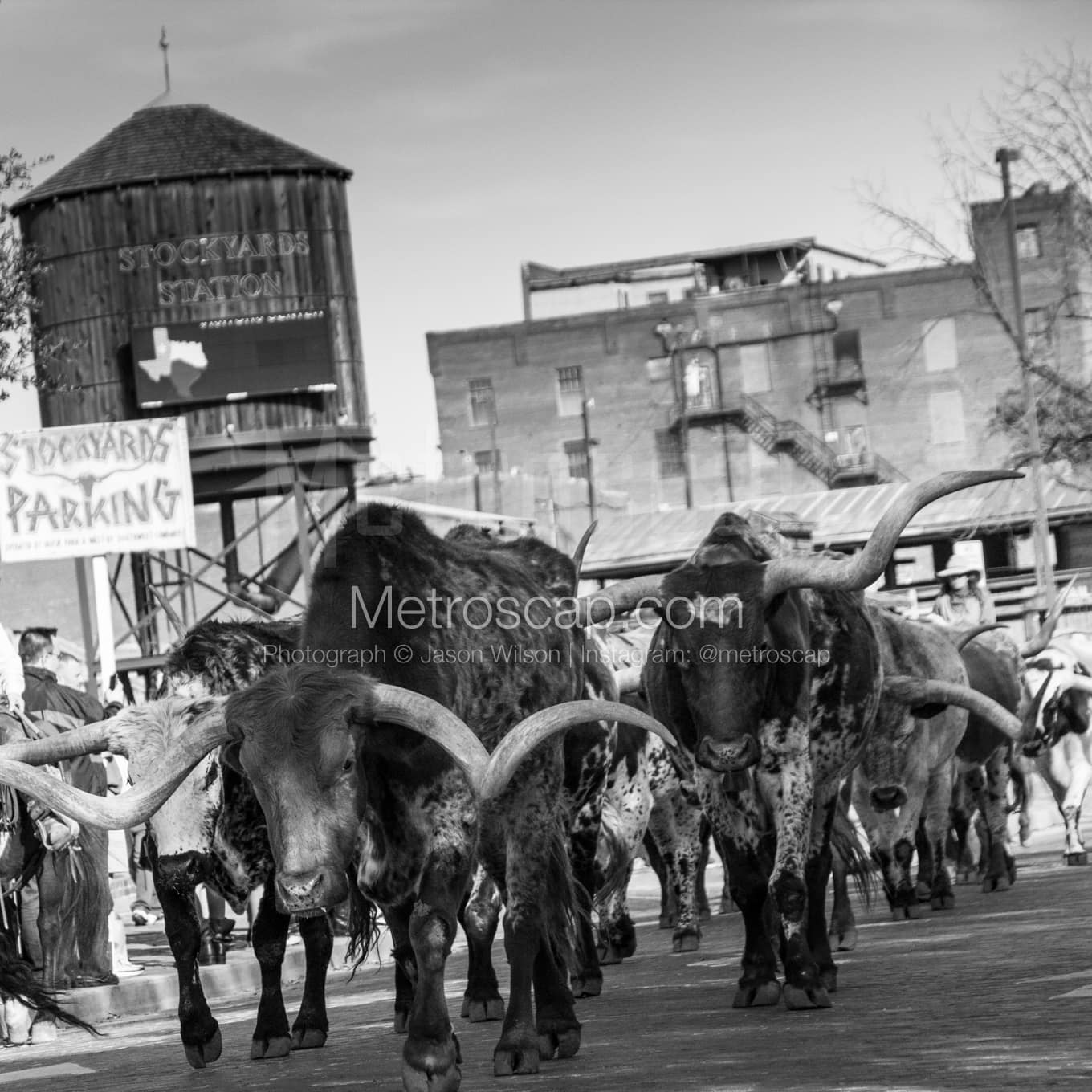 Fort Worth Black & White Landscape Photography