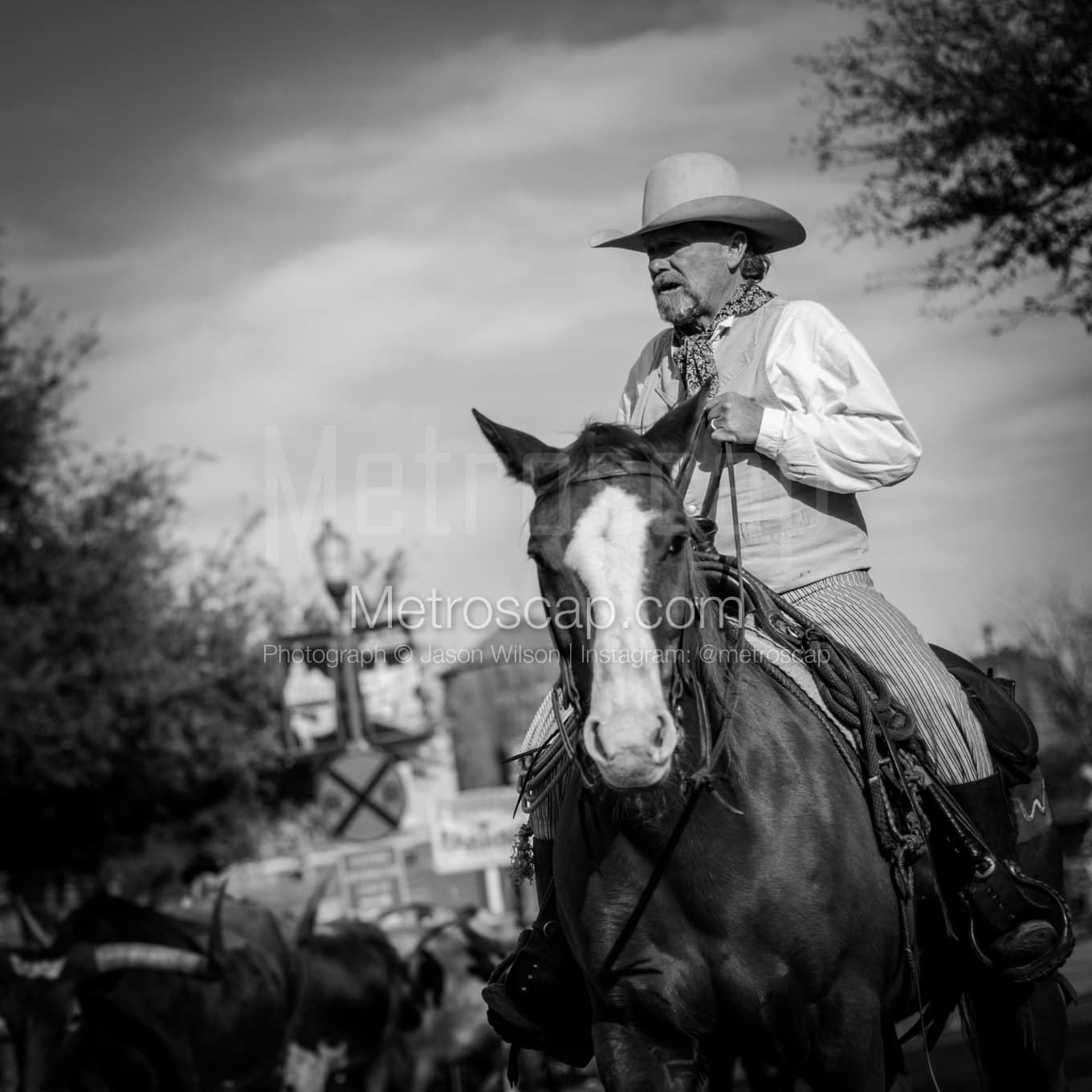 Fort Worth Black & White Landscape Photography