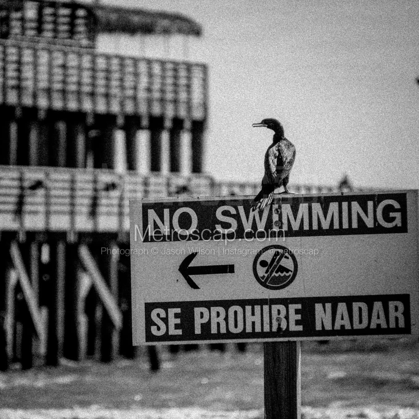 Galveston Black & White Landscape Photography