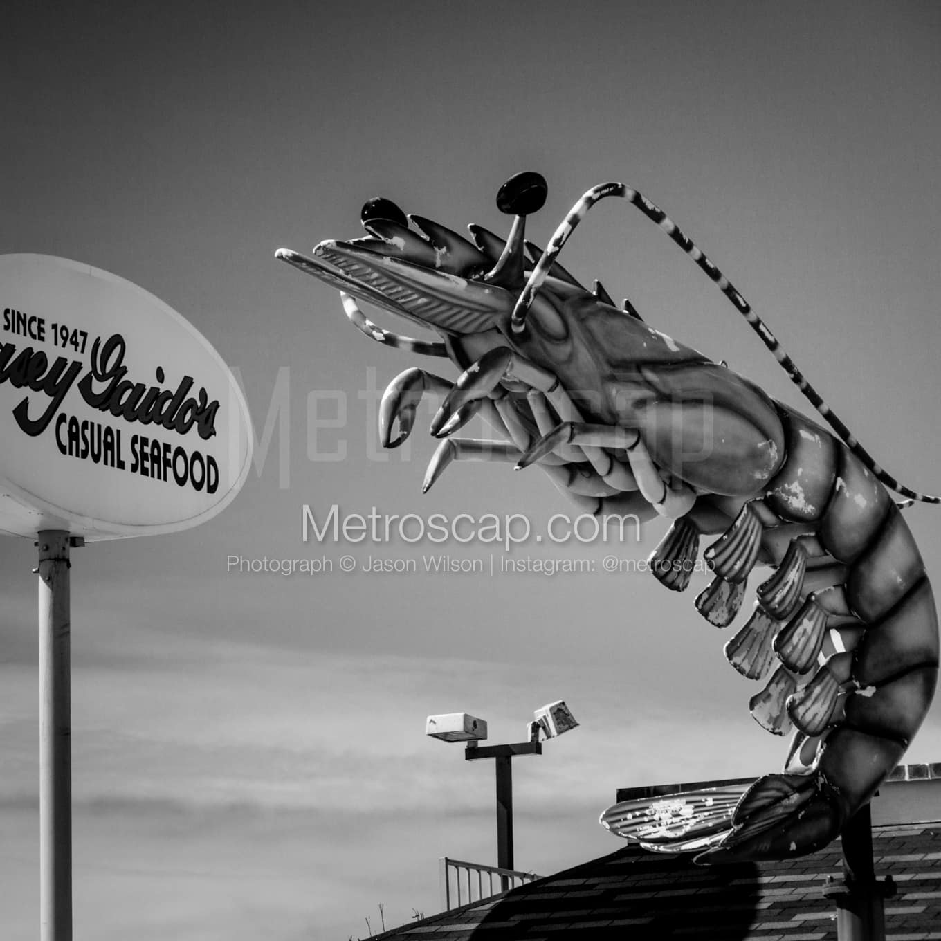 Galveston Black & White Landscape Photography