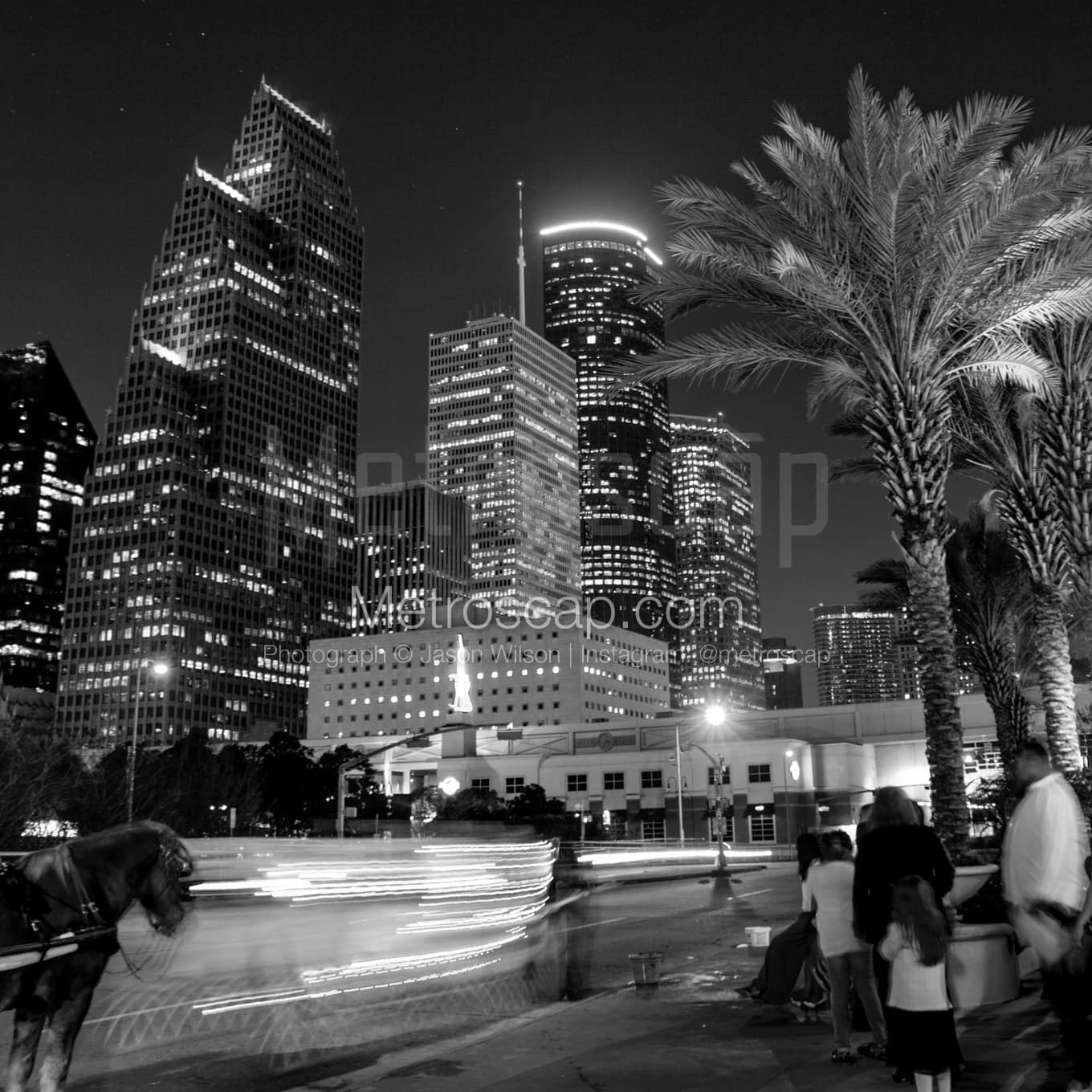 Houston Black & White Landscape Photography