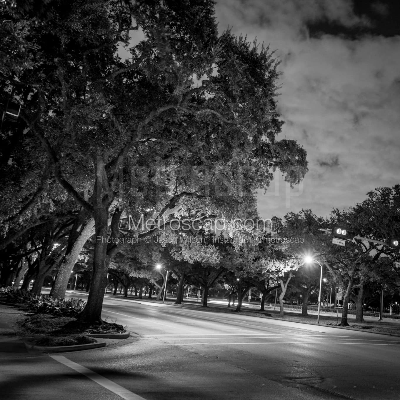 Houston Black & White Landscape Photography