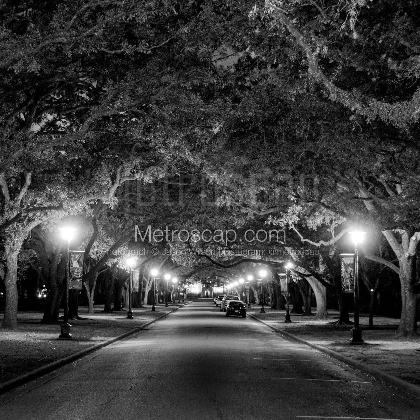 Houston Black & White Landscape Photography