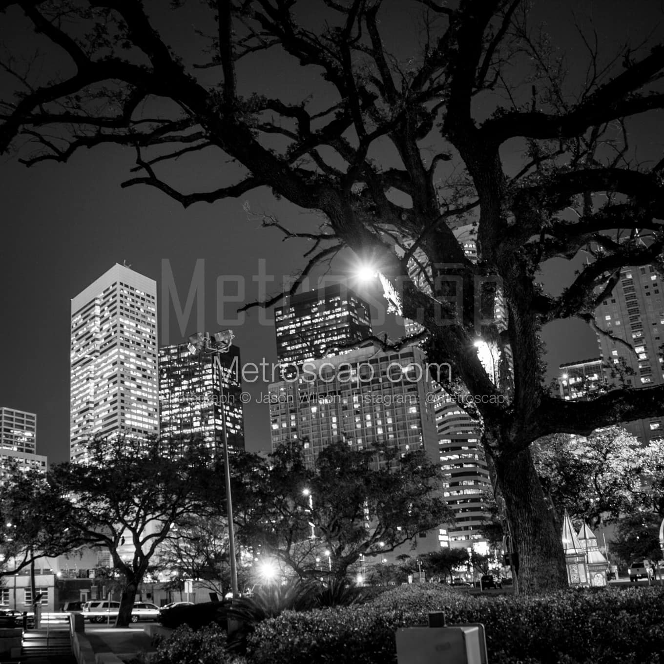 Houston Black & White Landscape Photography