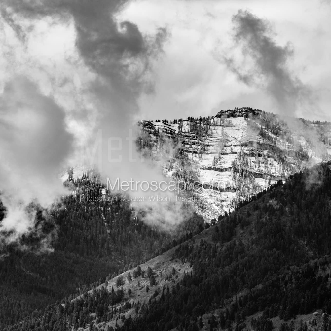 Jackson Hole Black & White Landscape Photography