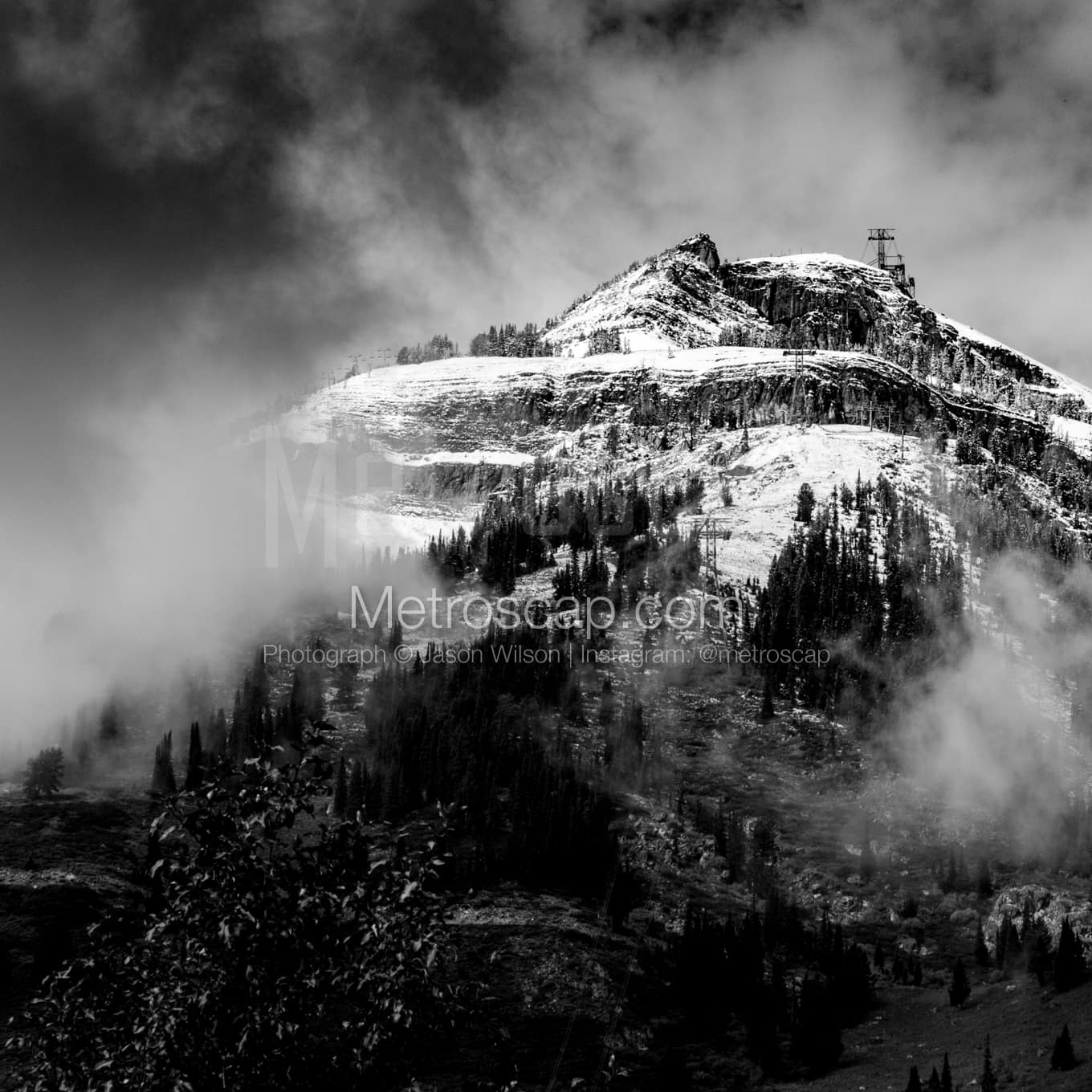 Jackson Hole Black & White Landscape Photography