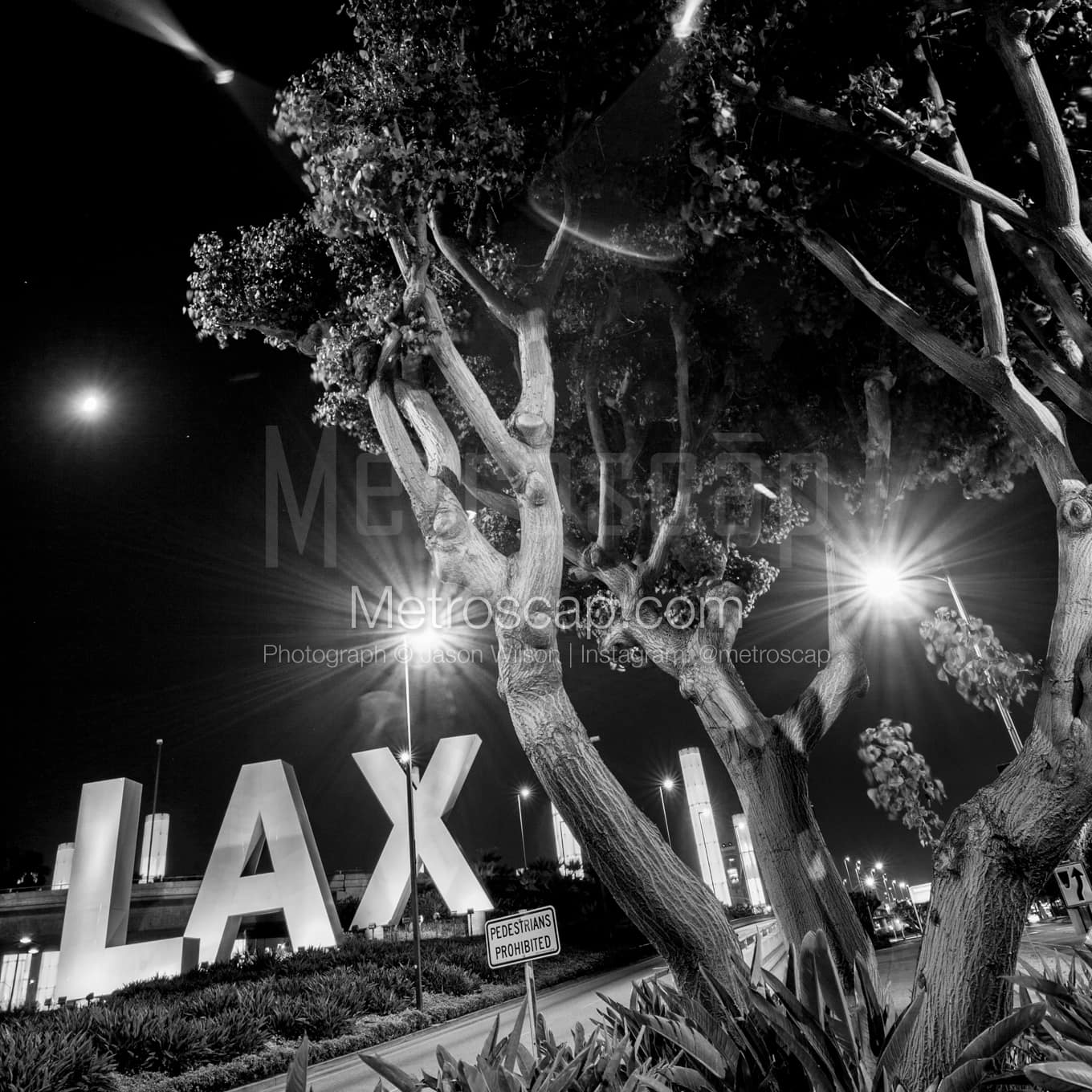 Los Angeles Black & White Landscape Photography