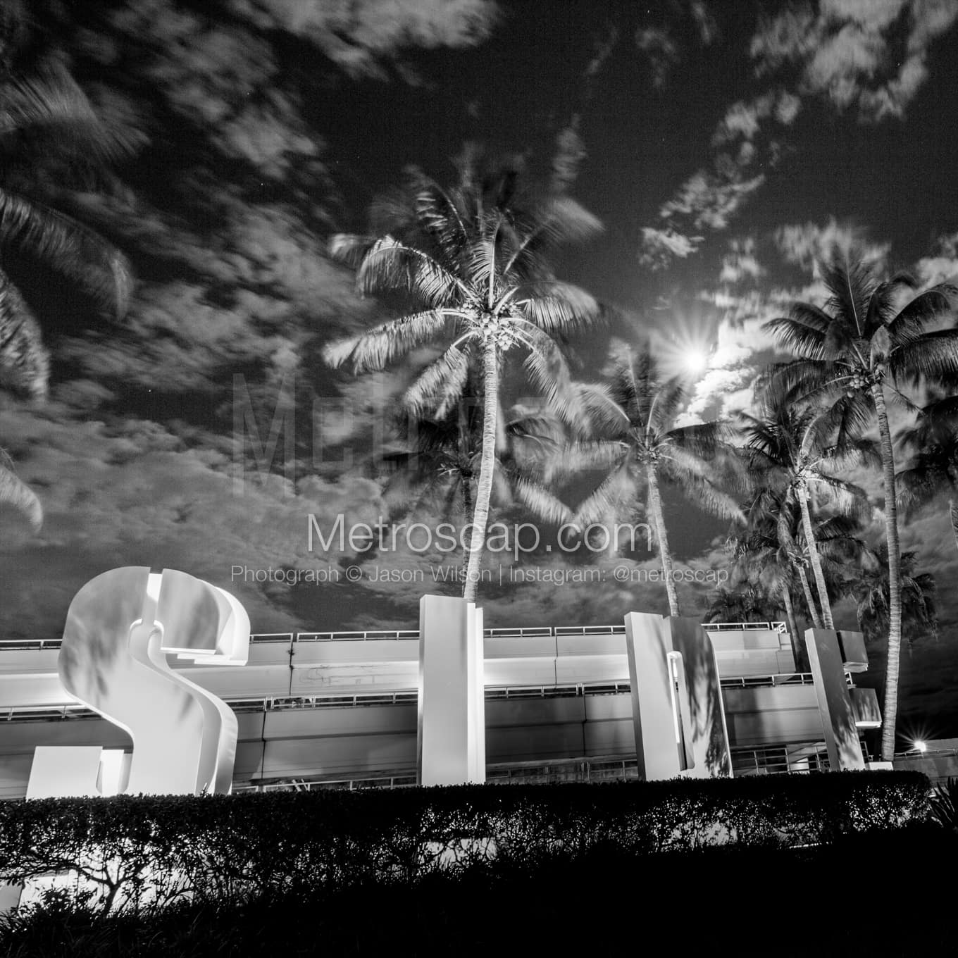 Miami Black & White Landscape Photography