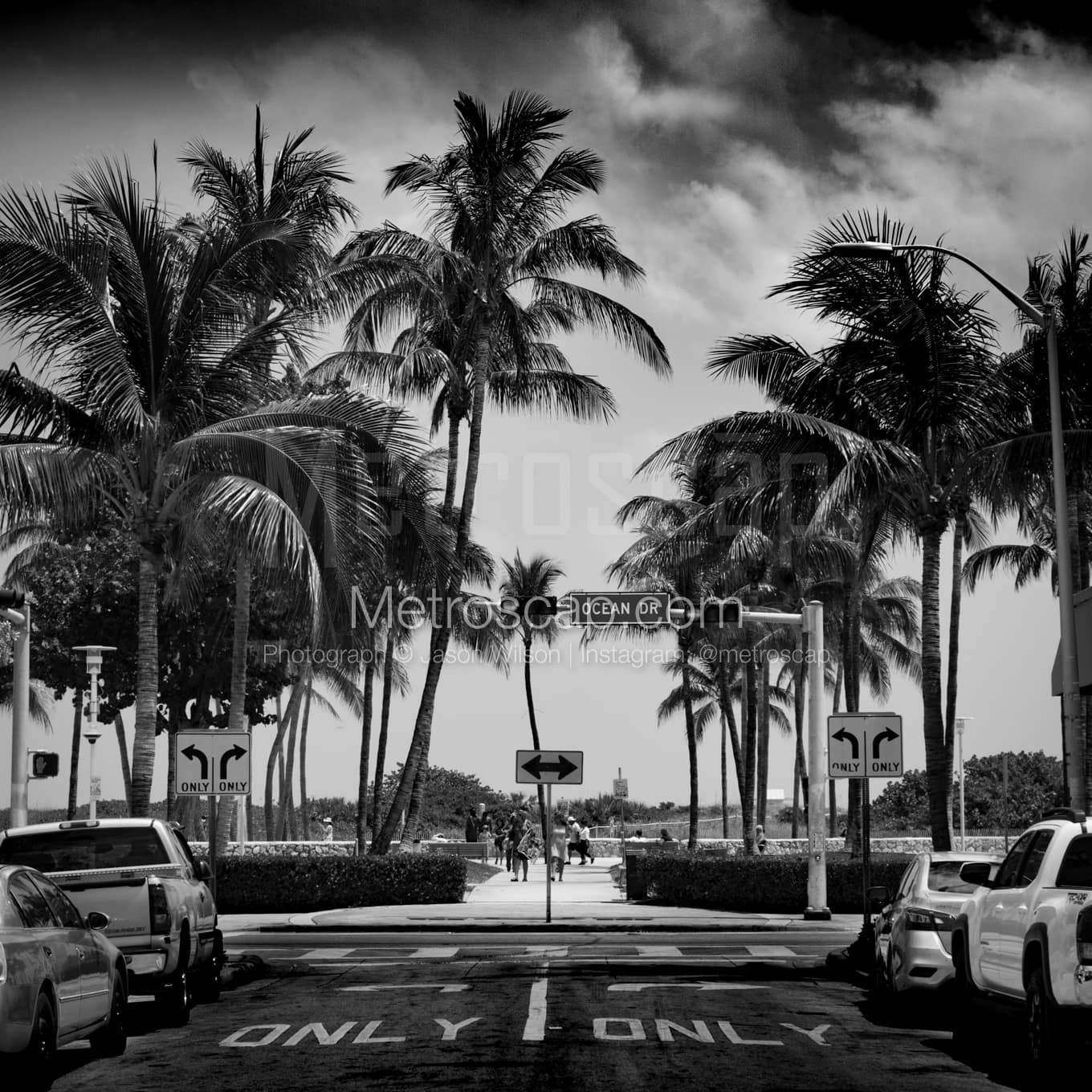 Miami Black & White Landscape Photography