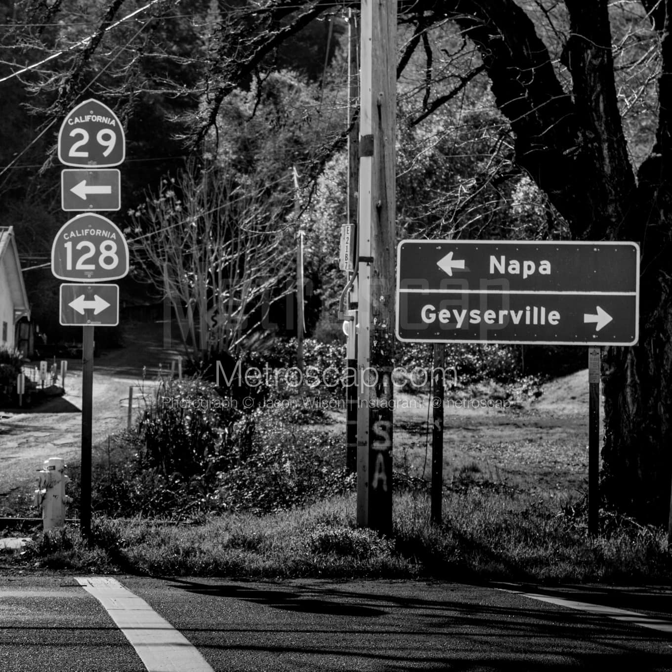 Napa-Valley Black & White Landscape Photography