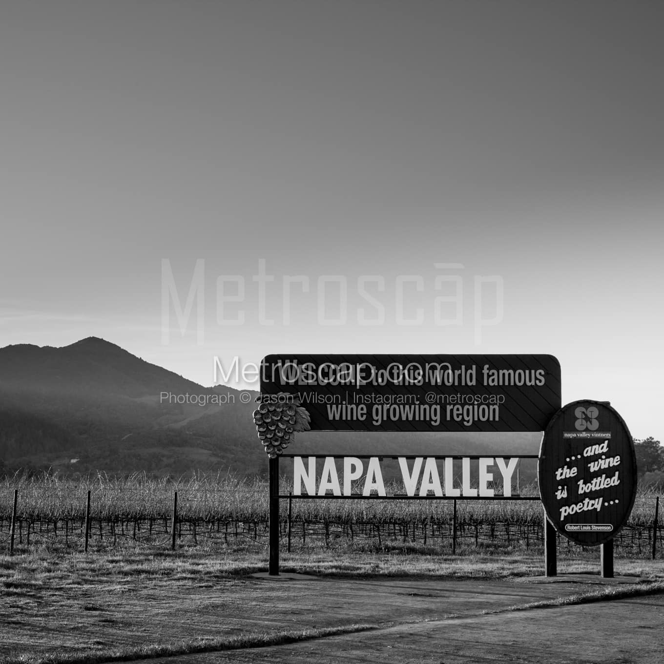 Napa-Valley Black & White Landscape Photography