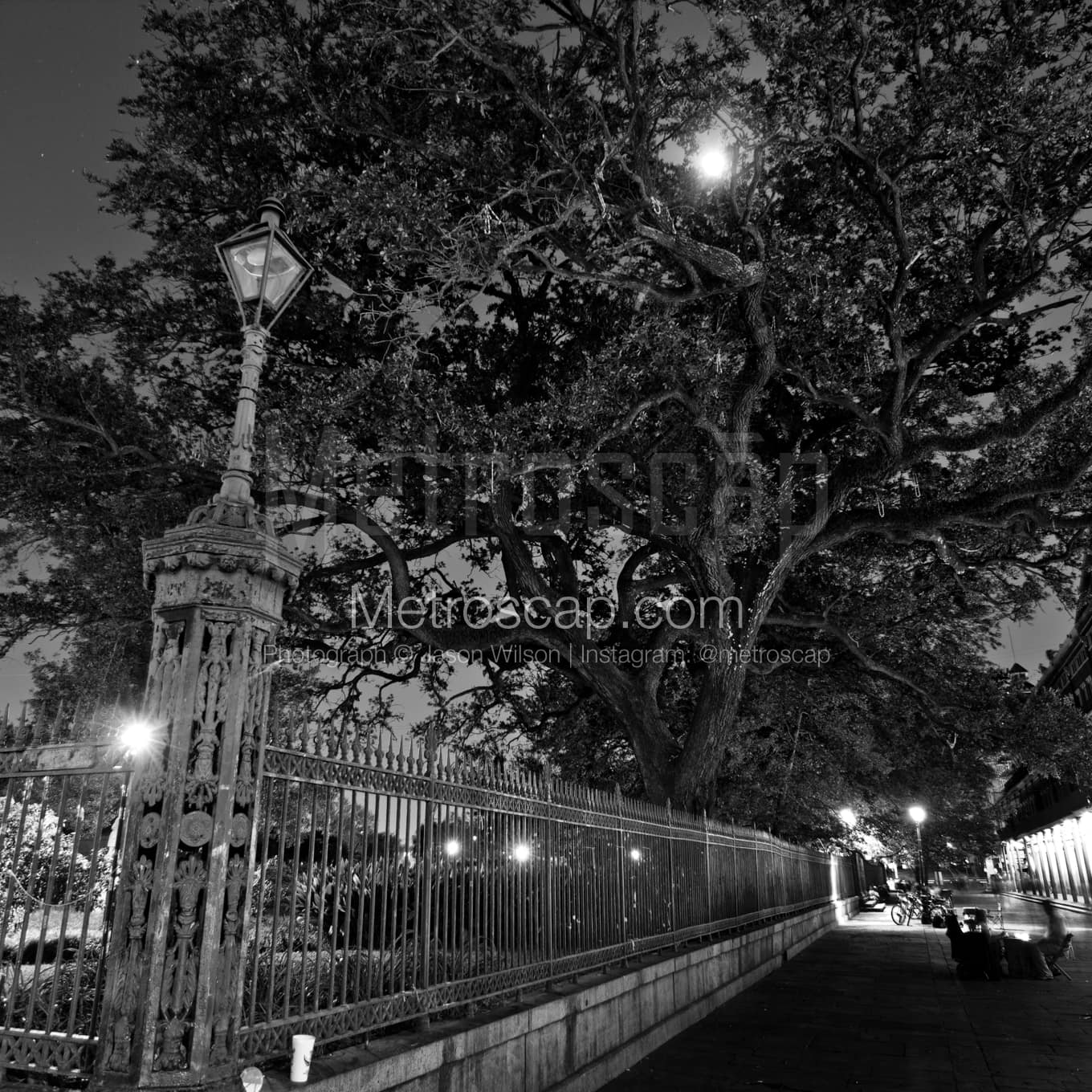 New Orleans Black & White Landscape Photography