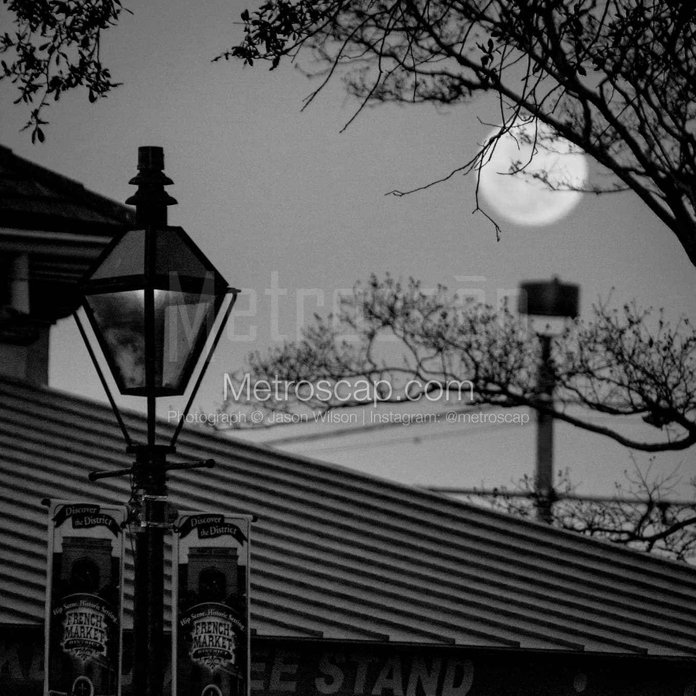 New Orleans Black & White Landscape Photography