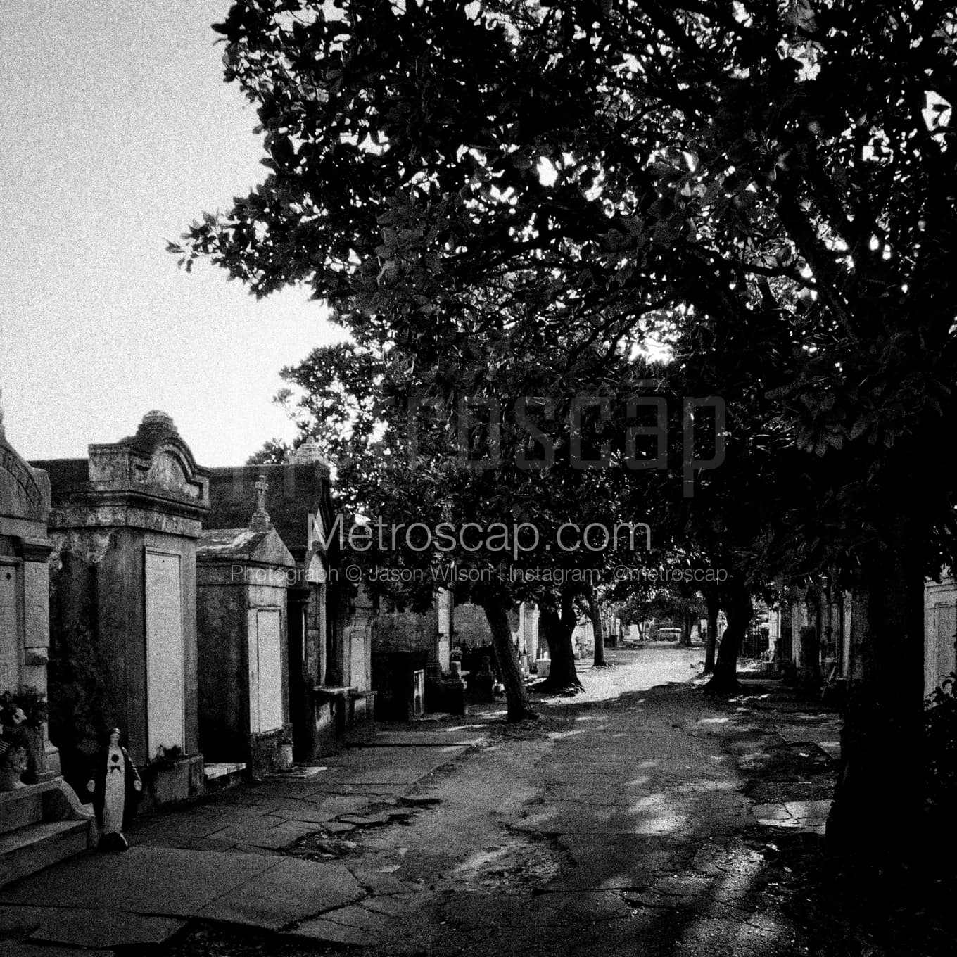 New Orleans Black & White Landscape Photography