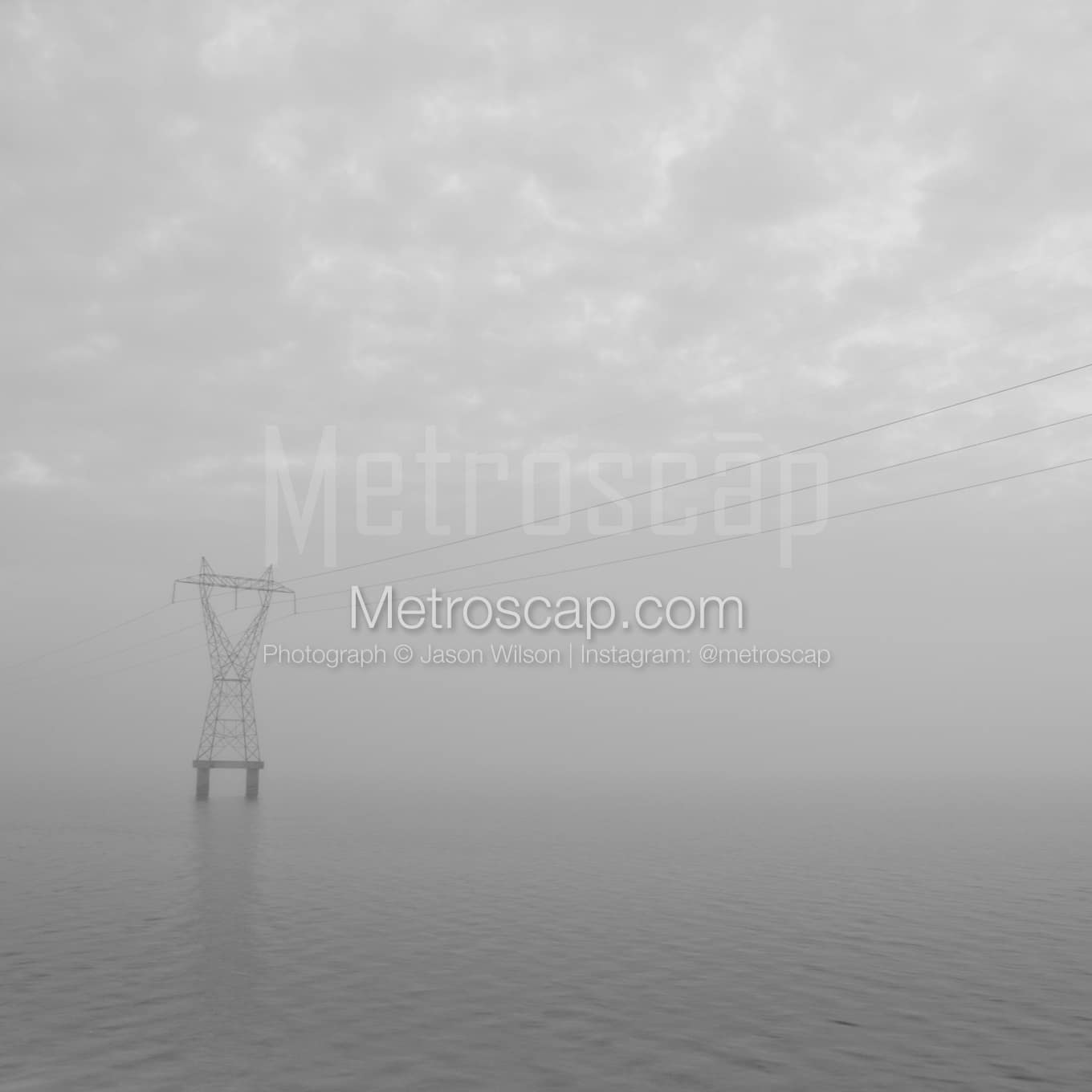 New Orleans Black & White Landscape Photography