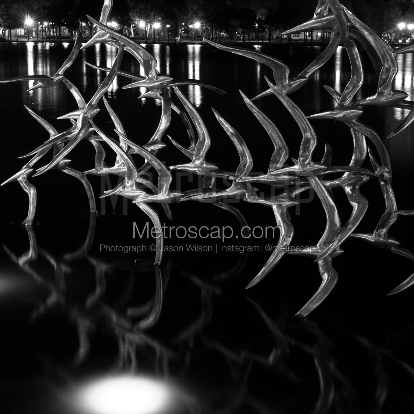 Orlando Black & White Landscape Photography