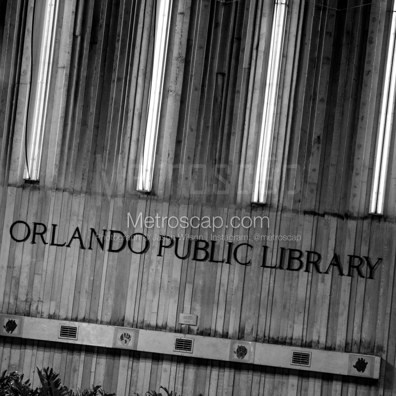 Orlando Black & White Landscape Photography