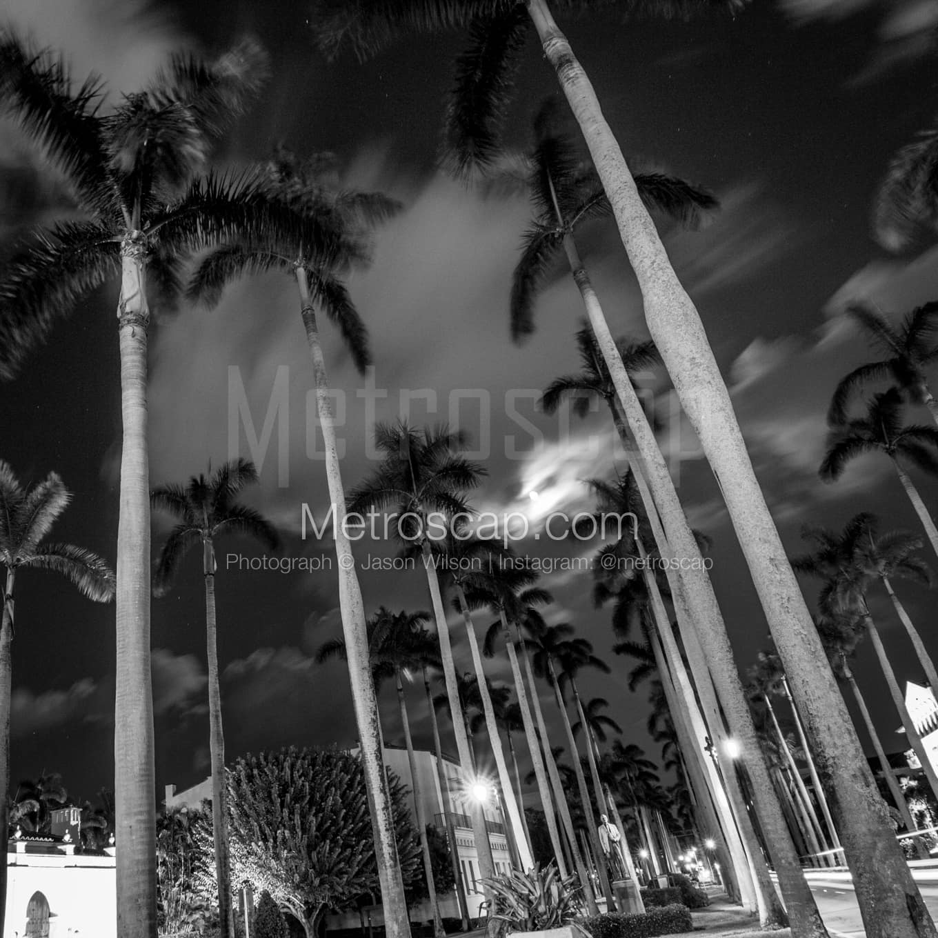 Palm Beach Black & White Landscape Photography