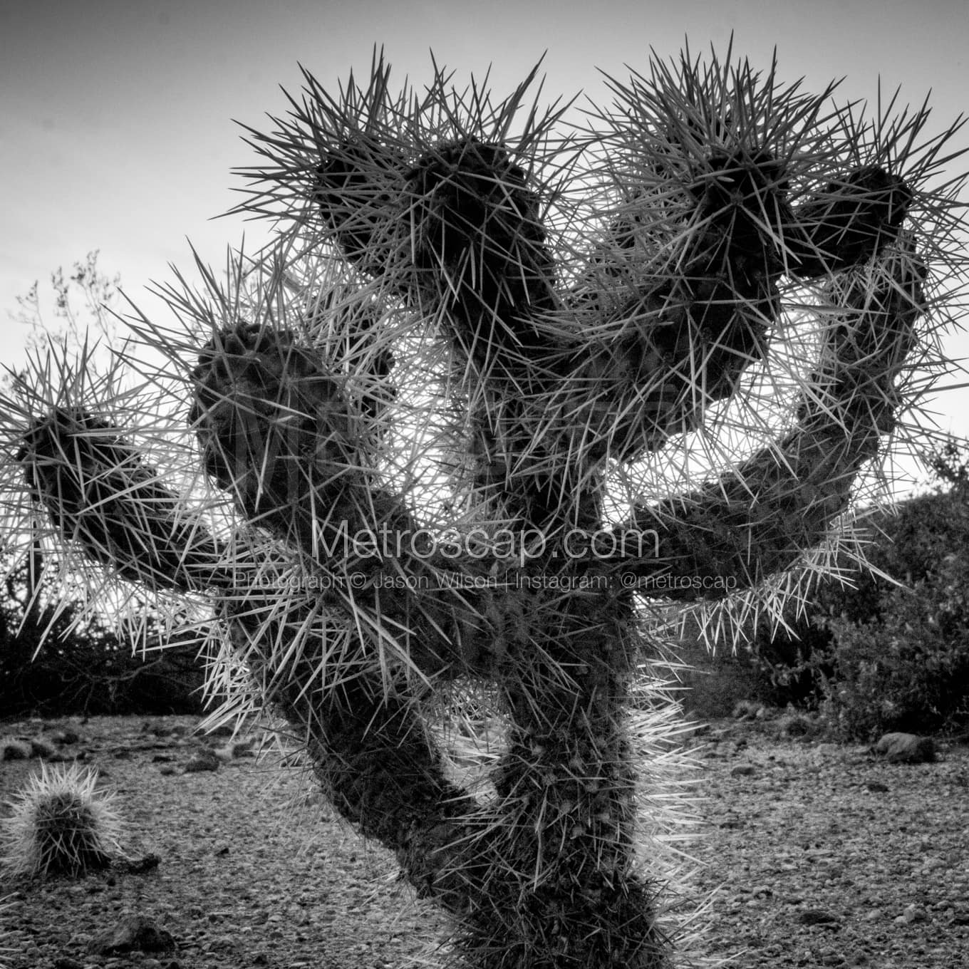 Phoenix Black & White Landscape Photography