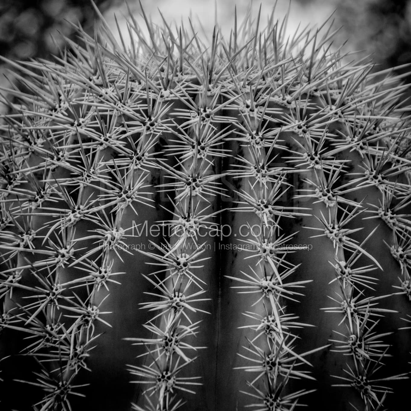 Phoenix Black & White Landscape Photography