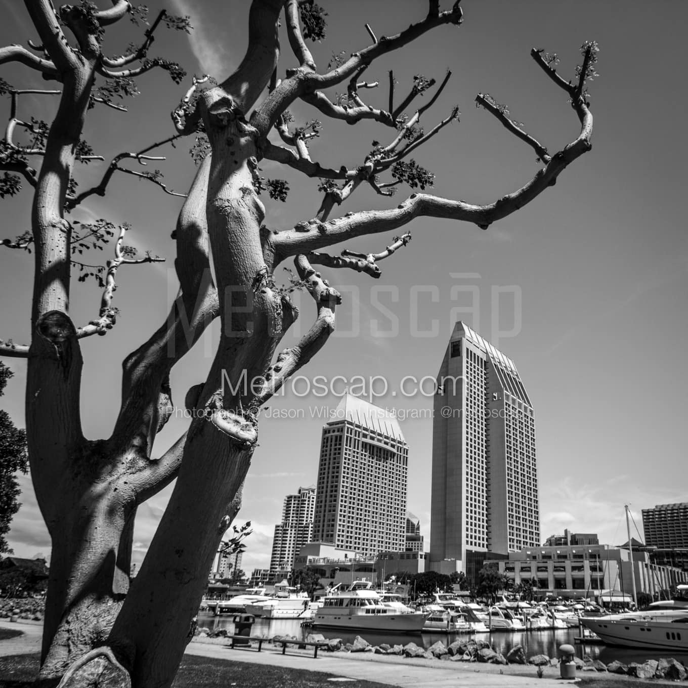 San Diego Black & White Landscape Photography