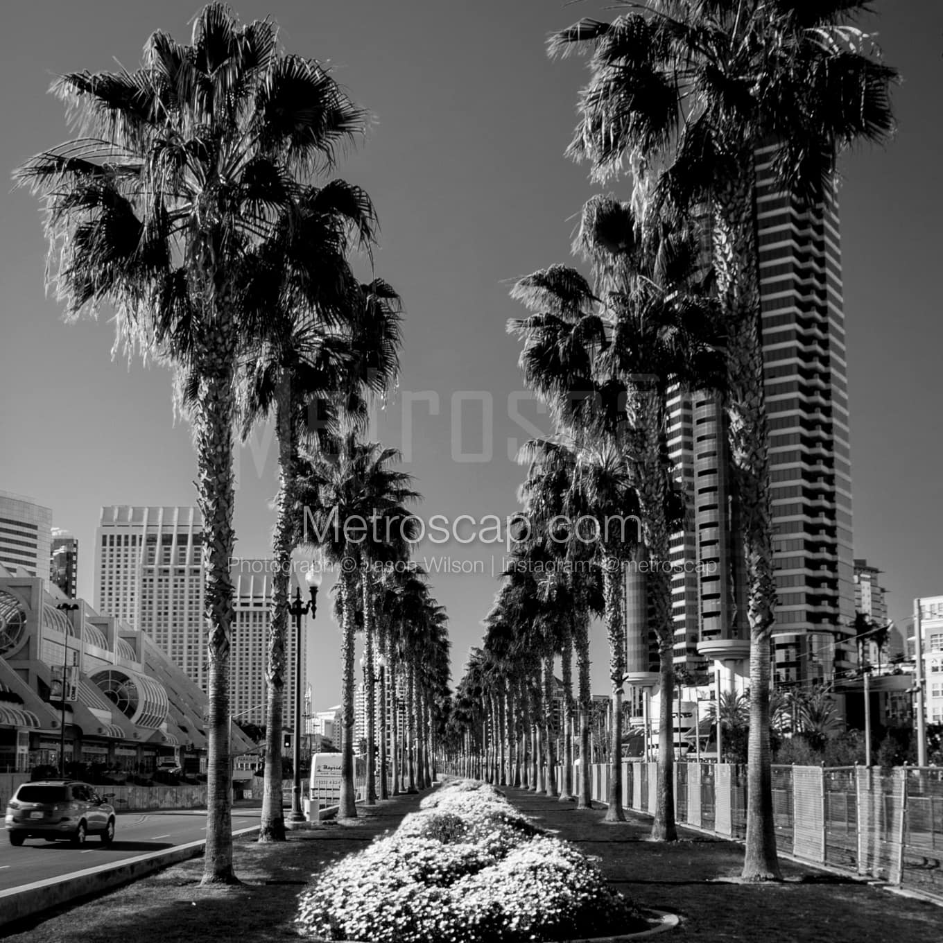 San Diego Black & White Landscape Photography