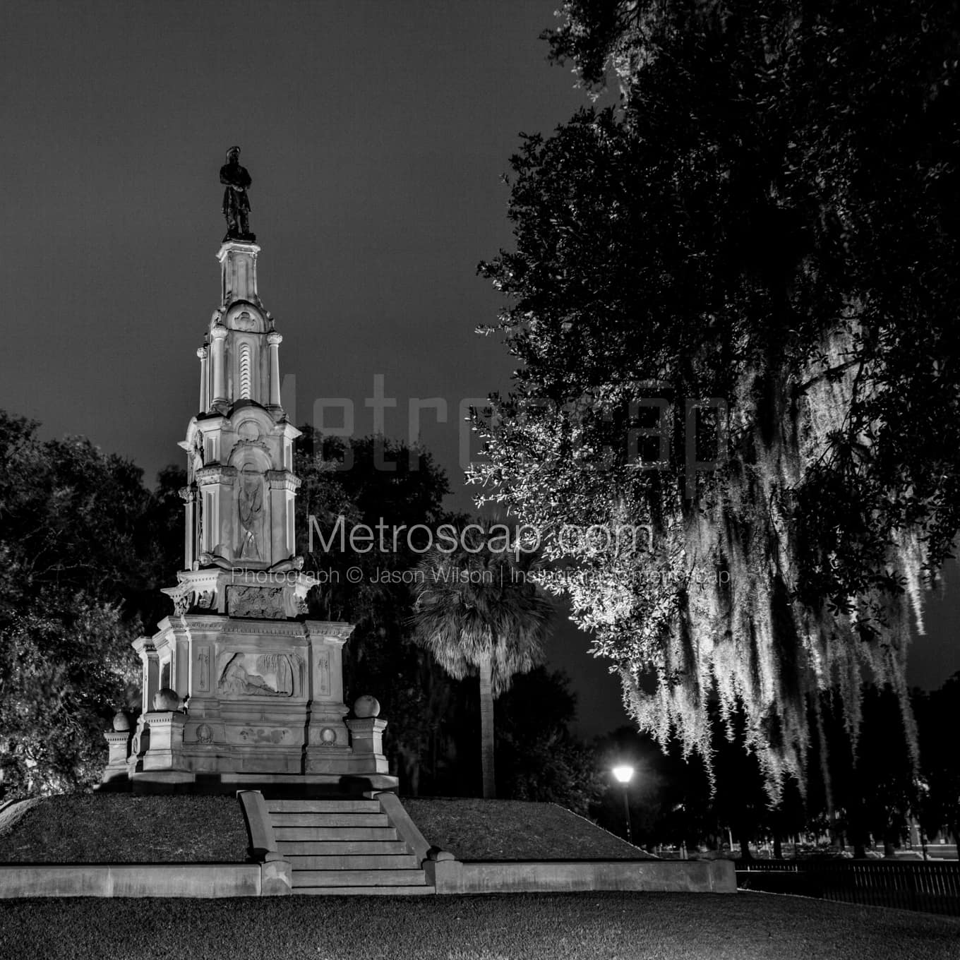 Savannah Black & White Landscape Photography