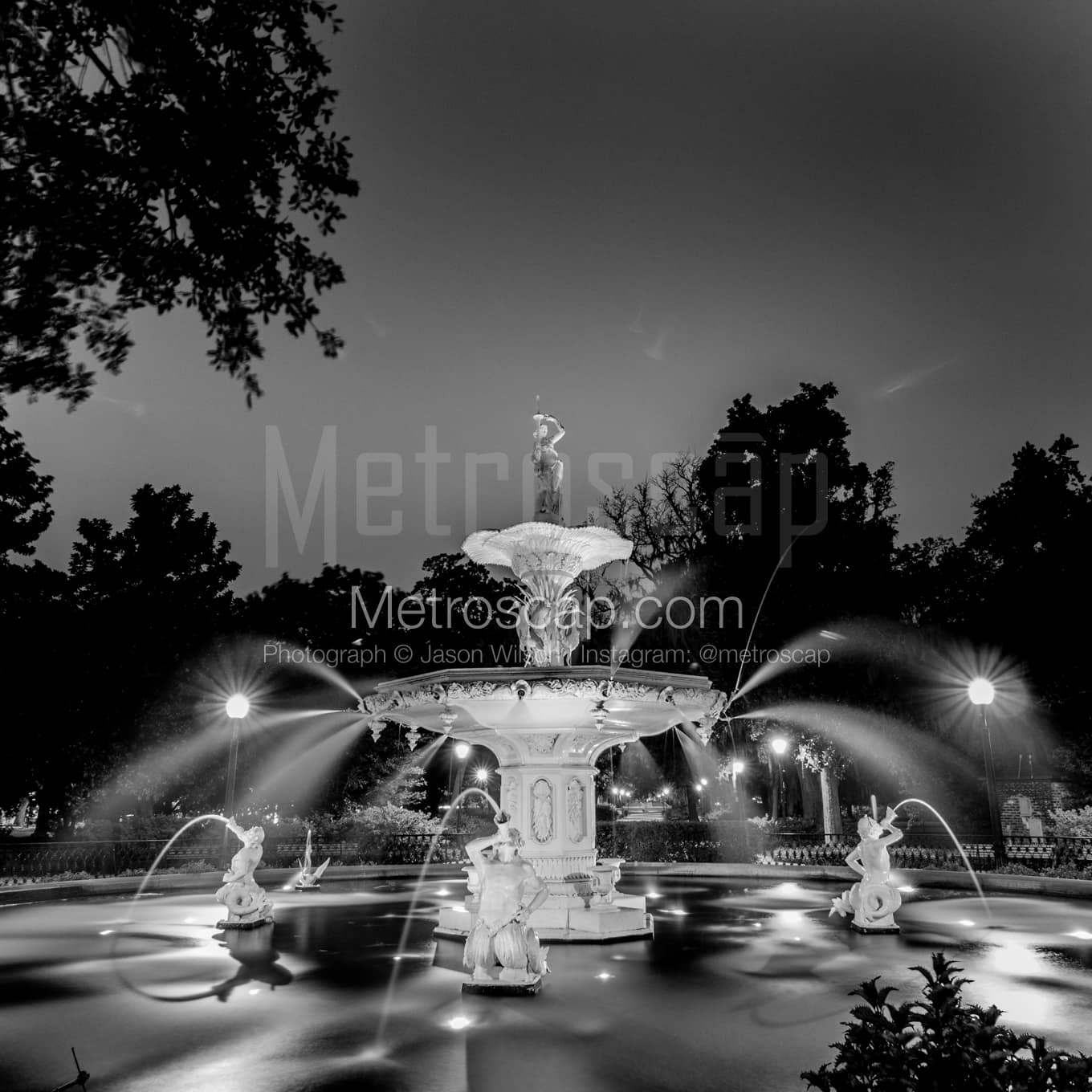 Savannah Black & White Landscape Photography