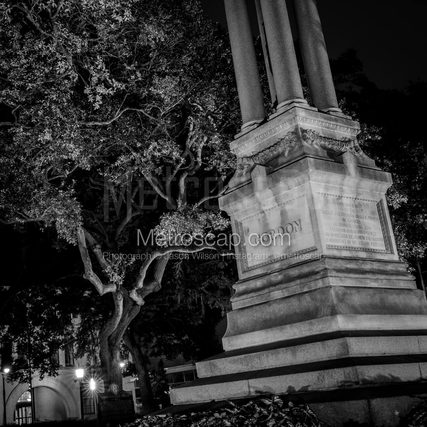 Savannah Black & White Landscape Photography