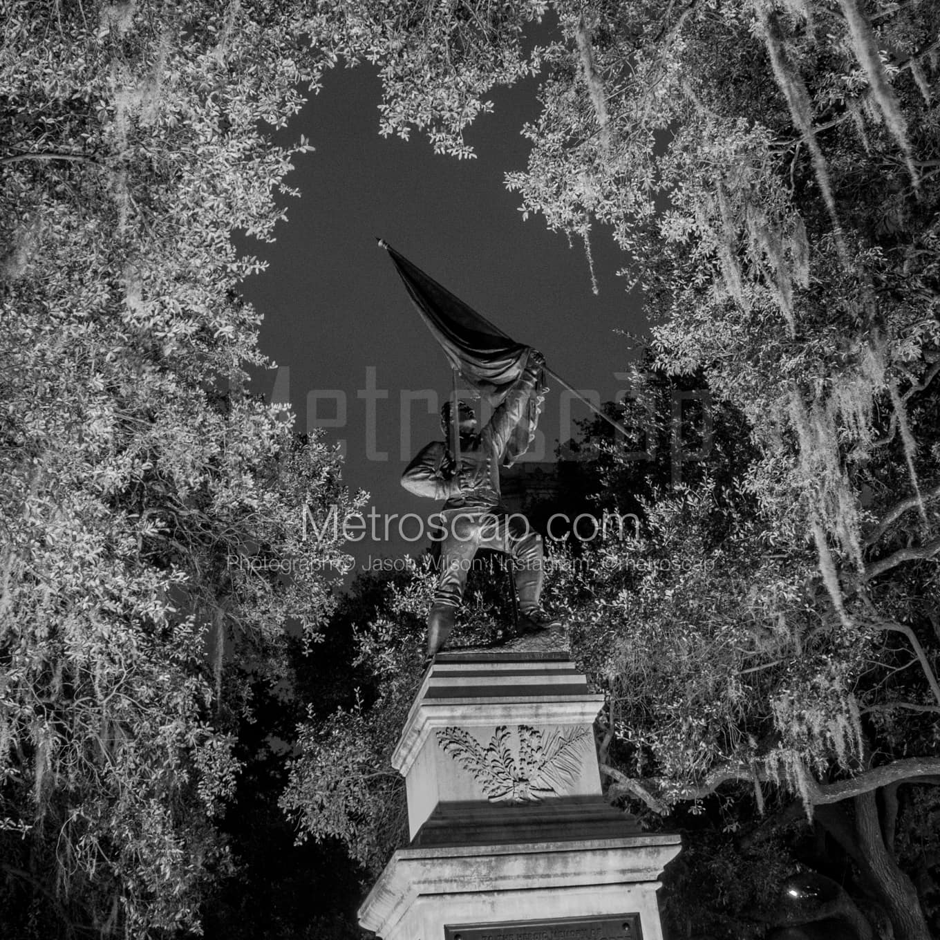 Savannah Black & White Landscape Photography