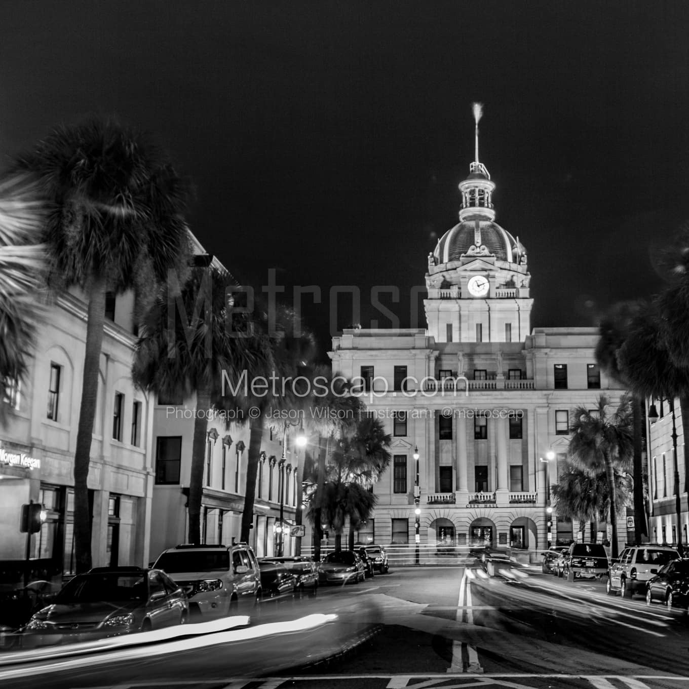 Savannah Black & White Landscape Photography