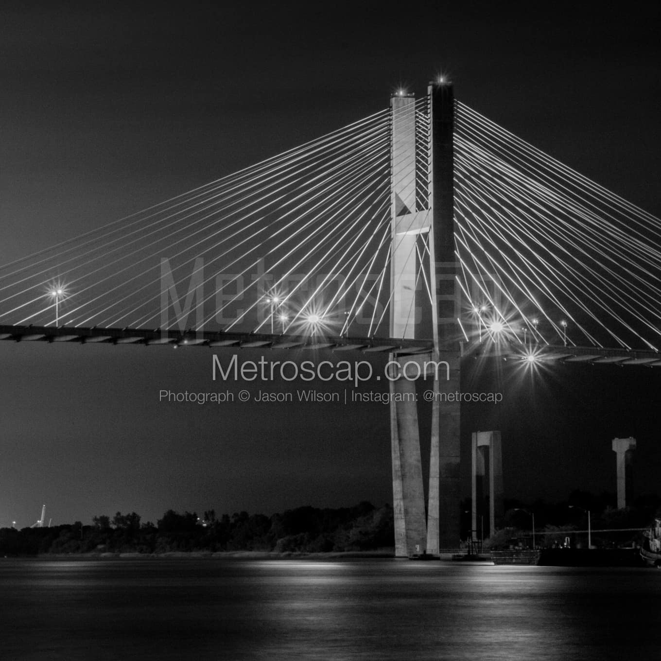 Savannah Black & White Landscape Photography