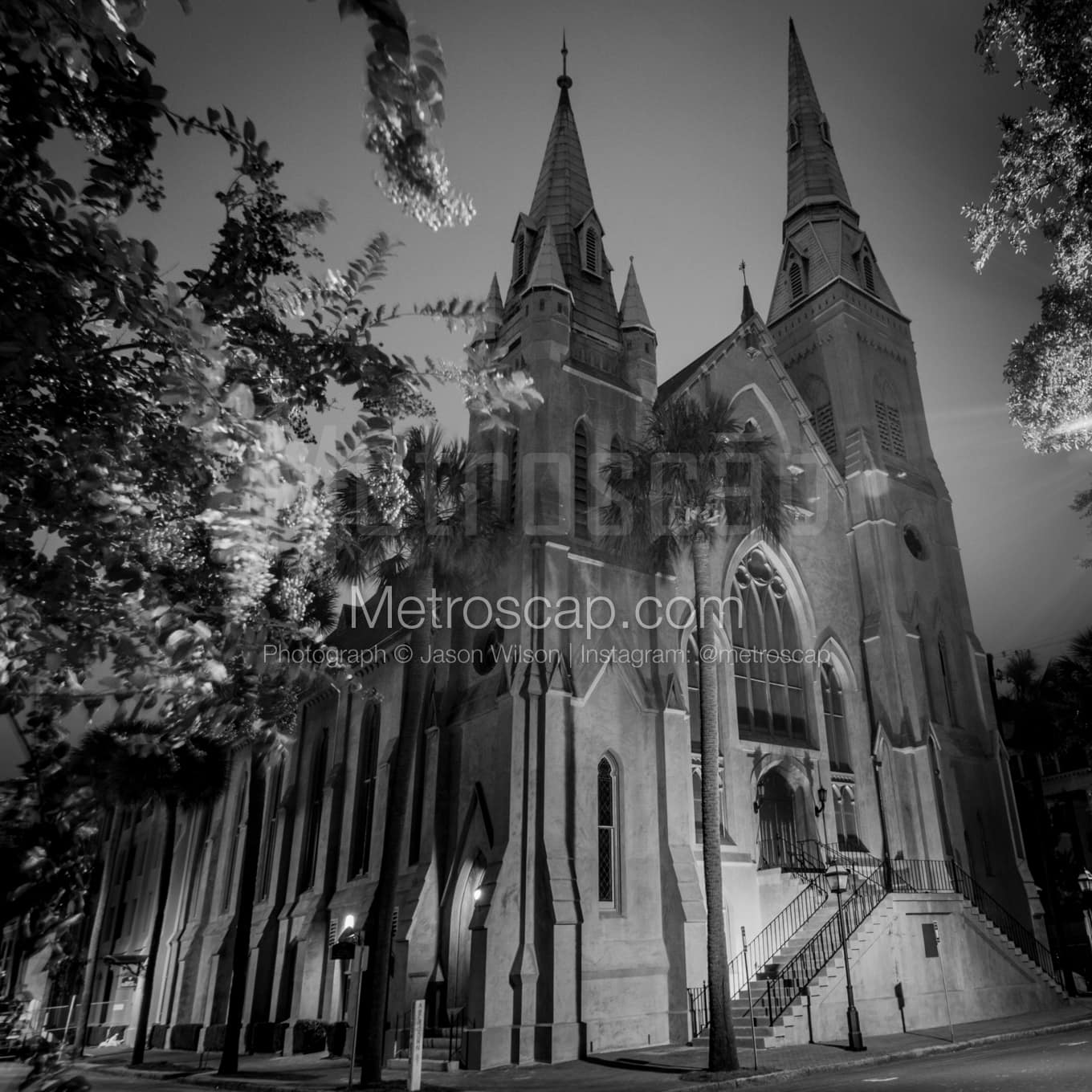 Savannah Black & White Landscape Photography