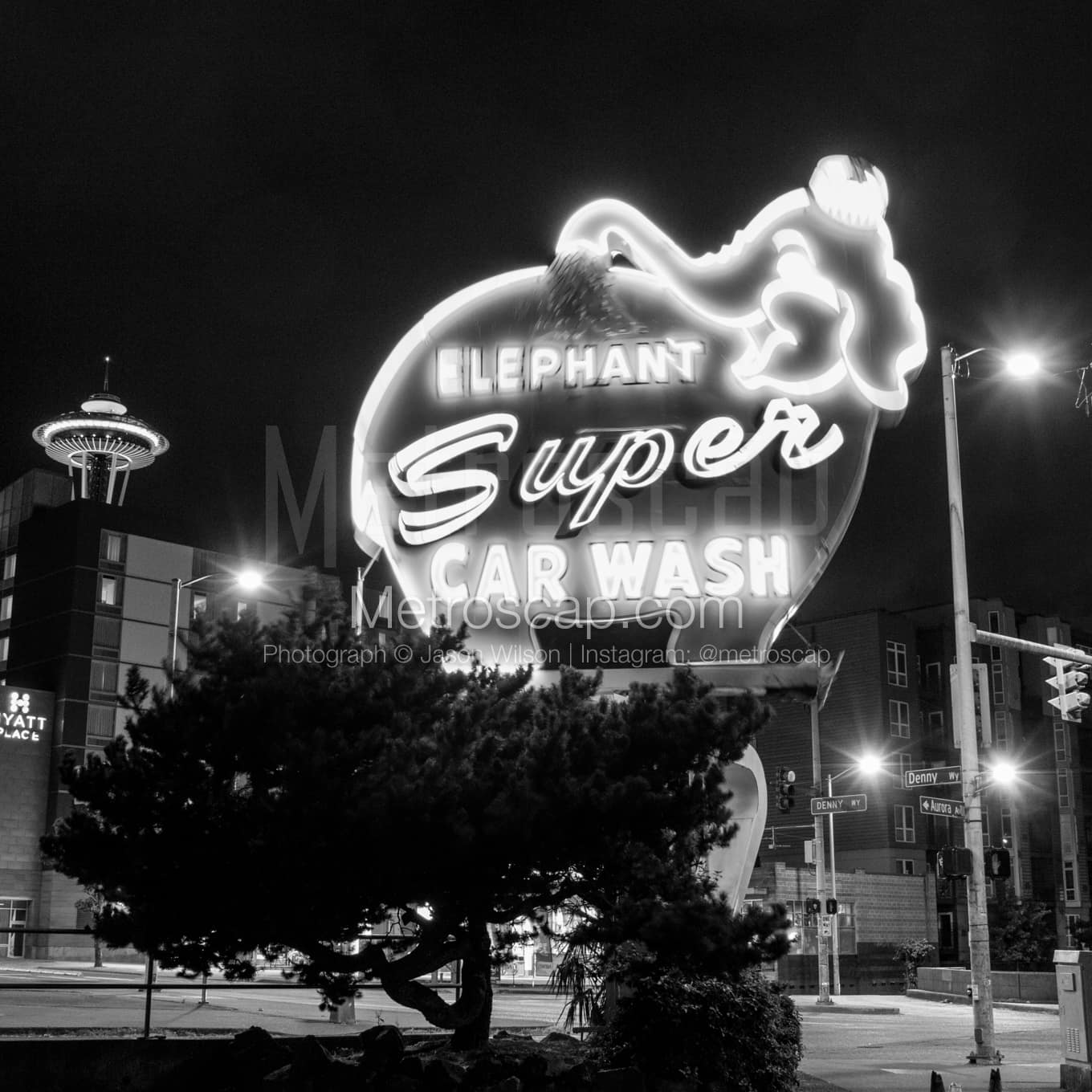 Seattle Black & White Landscape Photography