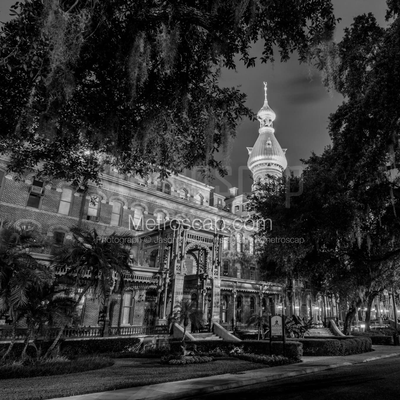 Tampa Black & White Landscape Photography