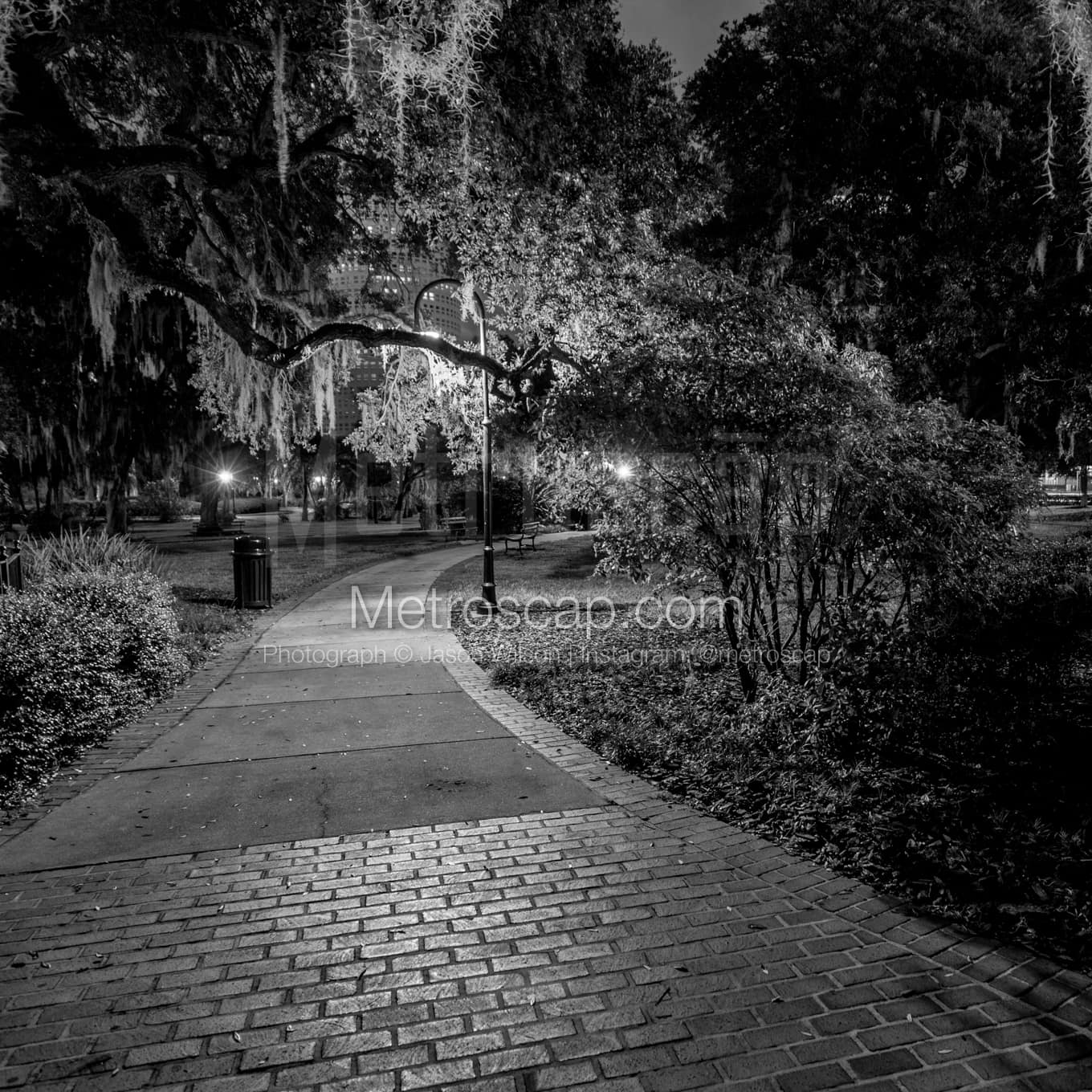 Tampa Black & White Landscape Photography