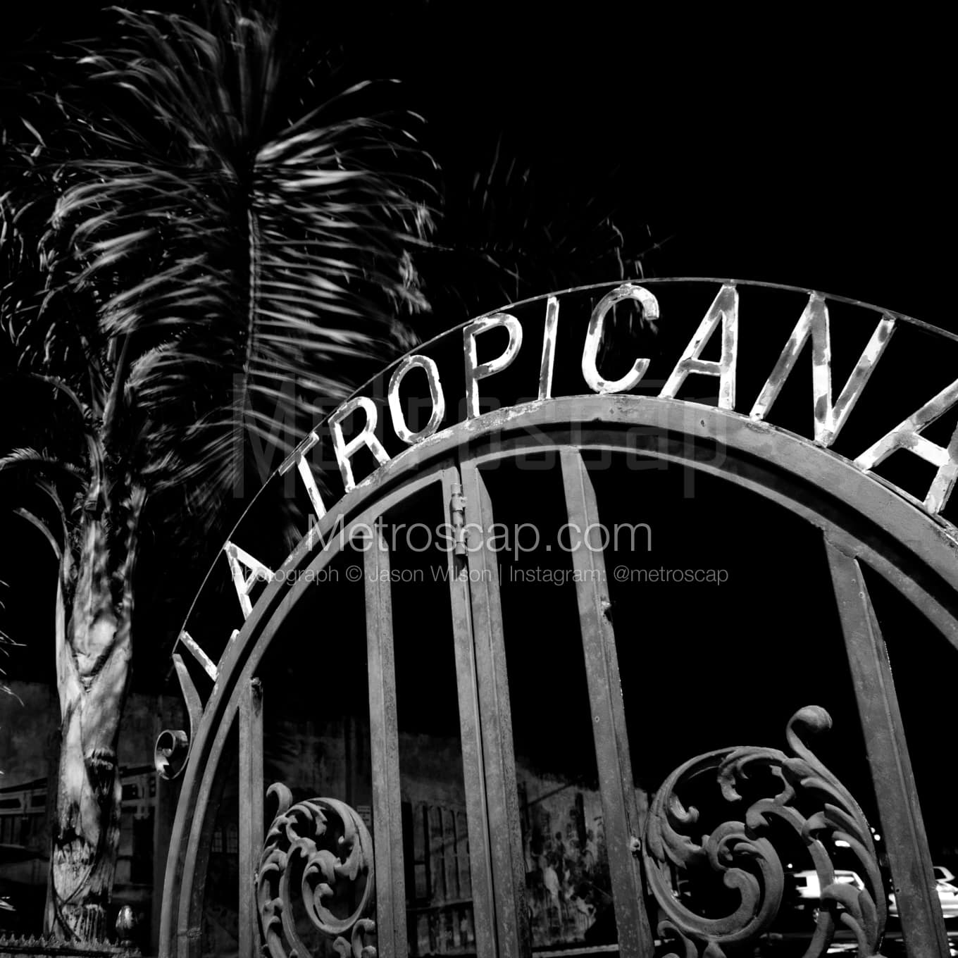 Tampa Black & White Landscape Photography