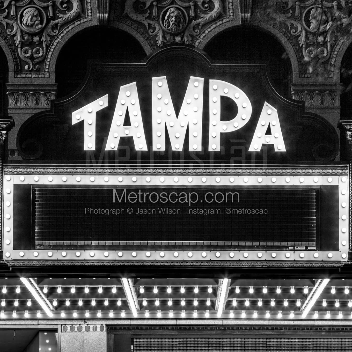 Tampa Black & White Landscape Photography