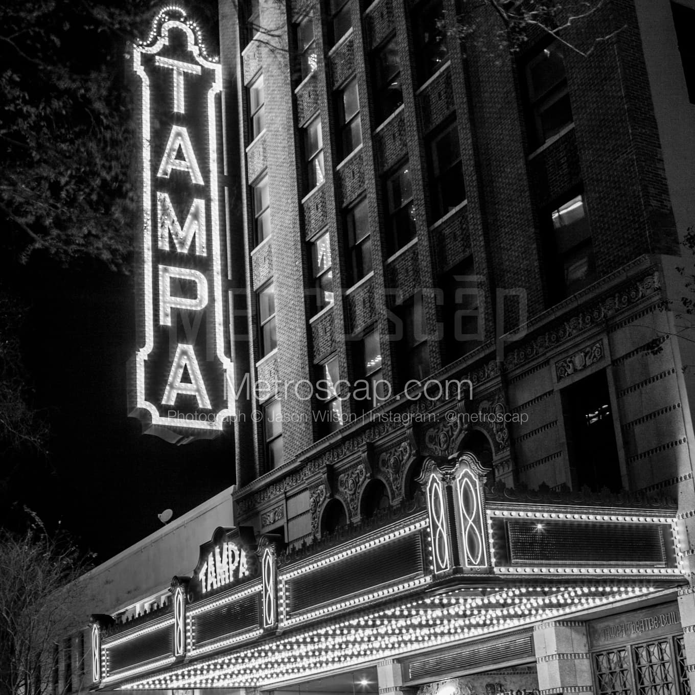 Tampa Black & White Landscape Photography